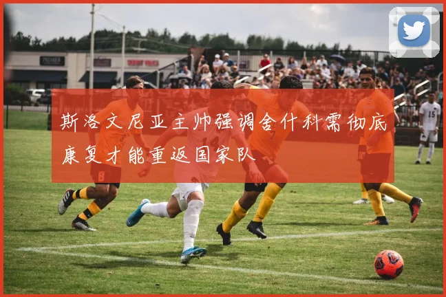 斯洛文尼亚主帅强调舍什科需彻底康复才能重返国家队