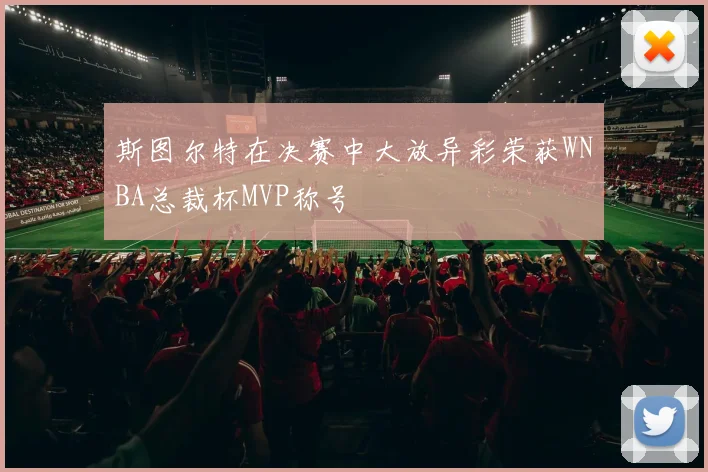 斯图尔特在决赛中大放异彩荣获WNBA总裁杯MVP称号